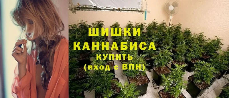 МАРИХУАНА SATIVA & INDICA  купить наркотик  Богданович 